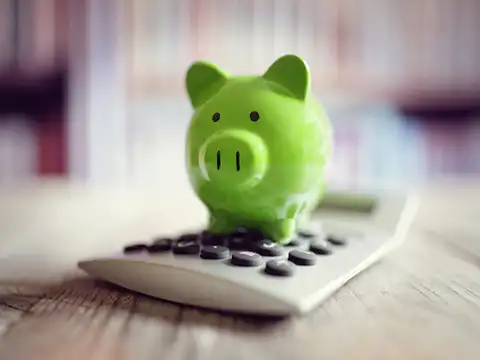 Equity Linked Savings Schemes (ELSS)