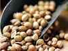 Coriander futures sink to 15-month low on rising supply