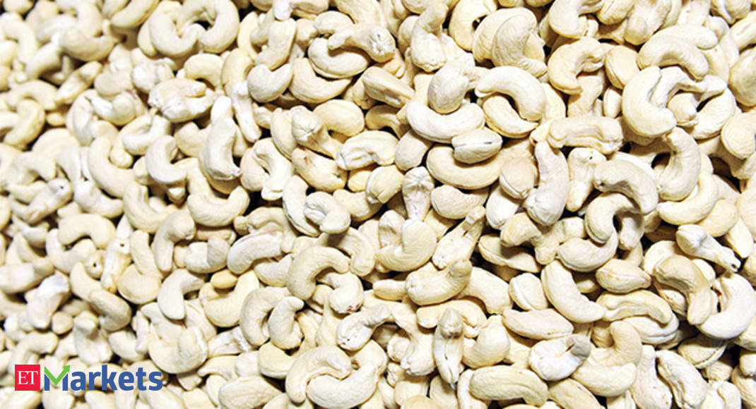 cashew industry in india