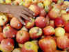 US apple producers to target small towns in India