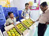 Australia to sell 'Kesar' variety of Indian mangoes for first time