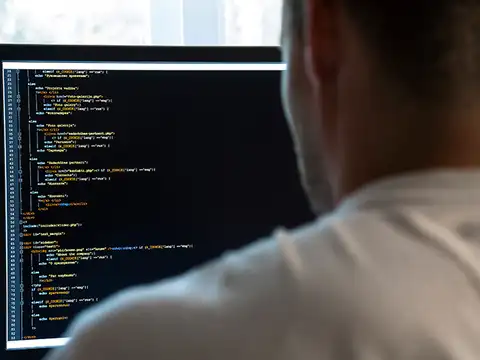What are the experts saying?