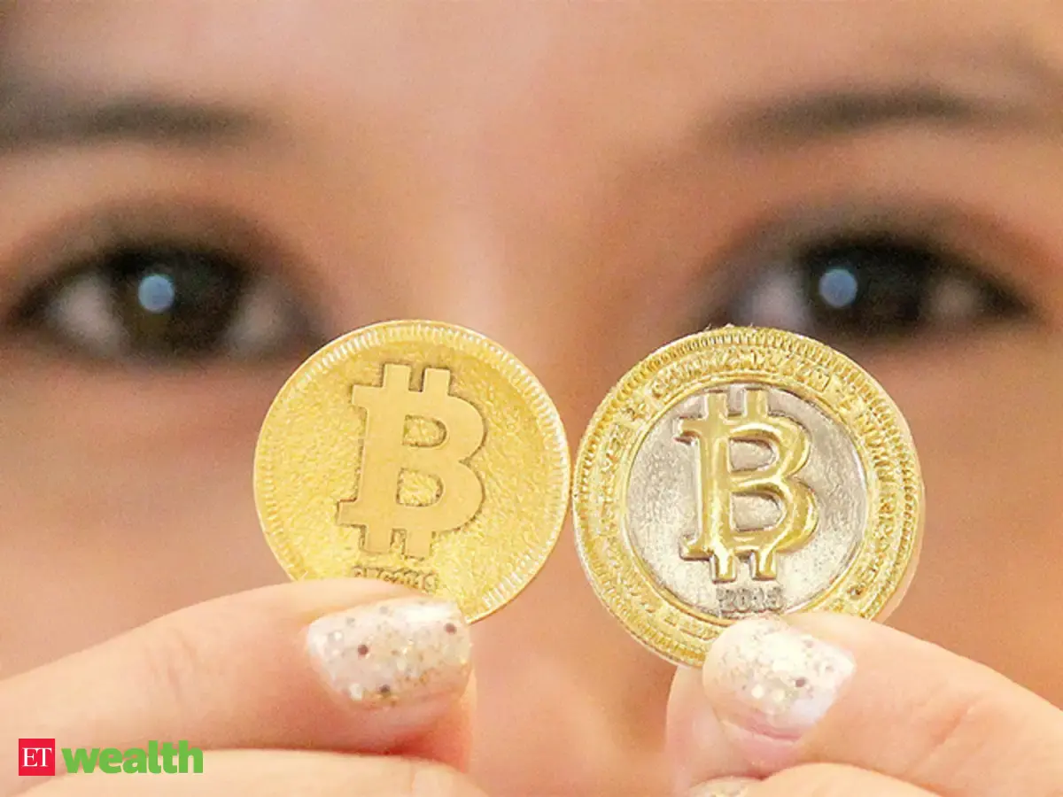 Bitcoins: Everything you wanted to know about bitcoins - Why bitcoins ...
