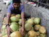 Tender Coconuts Yet to Find Right Slot on GST Slab