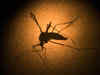 Drone strikes against mosquitoes in Ahmedabad