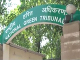 Set up panel to study harmful effects of petcoke: NGT to MoEF