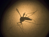 Deliberately didn't reveal Zika cases to public: Gujarat government