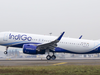 Indigo Airlines moves NGT against banning disinfectant fumigation