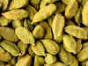Cardamom prices rise on monsoon woes