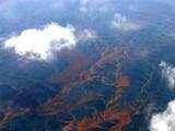 Massive sheens of oil over Gulf of Mexico