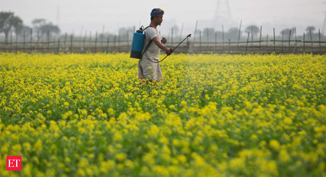 west-bengal-summer-crop-planting-across-india-is-12-higher-than-it-was-last-year-the