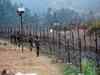 13 infiltrating terrorists killed on LoC in 96 hours: Indian Army