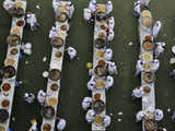 World's biggest plate of falafel