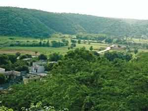 Aravali not a forest, says Haryana forest department order