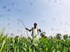 18% GST on pesticides will increase farmer's burden