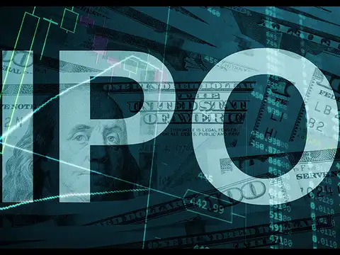 IPO issue details