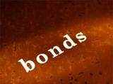 Investment in Government bonds