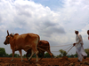 Great farmer bailout imperils India sovereign-rating upgrade