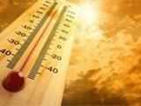 Hot temperatures make people moody, less helpful: study