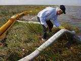 Oil spill in the Gulf of Mexico