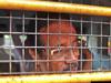 Mumbai blasts convict Mustafa Dossa dies a day after CBI seeks death penalty for him