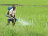 Fertiliser rate cut to 5% spells respite for farmers
