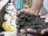 Cement prices slashed by Rs 15 in Northeast India