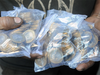They pumped Rs 50 crore fake coins into India