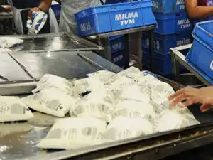 The plant is designed to handle 6.5 lakh liters of milk per day to produce 3 lakh litres per day market milk in pouches and 1.5 liters per day of curd. (Representative image) The plant is designed to handle 6.5 lakh liters of milk per day to produce 3 lakh litres per day market milk in pouches and 1.5 liters per day of curd. (Representative image)