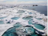 Global warming melts ice, alters fabled Northwest Passage