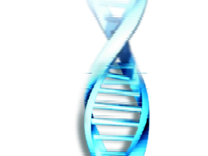 DNA