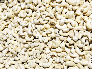 cashew nut retail price