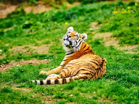 Chitwan and Bardia National Park, Nepal