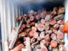 Government prohibits imports of red sanders wood