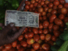 Why prices of tomatoes surged and why we are shedding onion tears