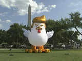 Indian-origin activist places giant inflatable 'Trump chicken' near White House