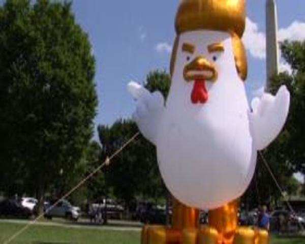 Watch Inflatable Chicken Stares Down The White House