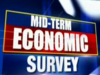Mid-term Economic Survey red flags growth risks