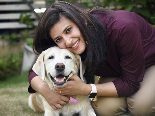 100 dollar dog accessory