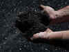 Coal India drops on weak Q1 numbers
