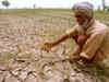 Farmers to get crop loans at subsidised 7%, Aadhaar link a must