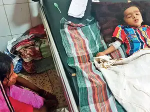 Over 98 lakh children across Uttar Pradesh were vaccinated against Japanese encephalitis in the past three months. Over 98 lakh children across Uttar Pradesh were vaccinated against Japanese encephalitis in the past three months.