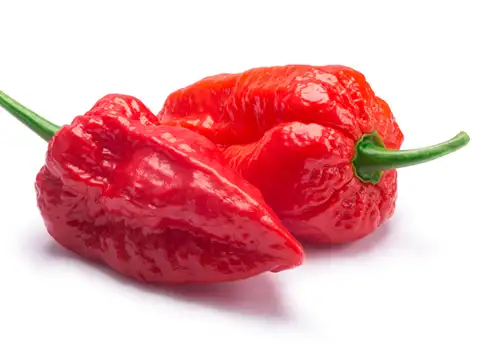 The Ghost Pepper Challenge
