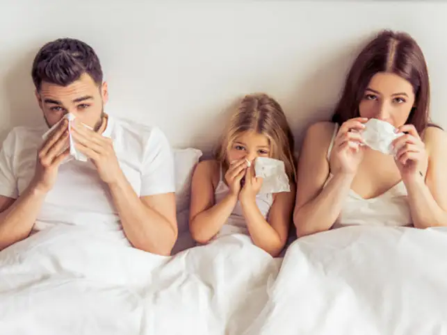 monsoon allergy à¤à¥ à¤²à¤¿à¤ à¤à¤®à¥à¤ à¤ªà¤°à¤¿à¤£à¤¾à¤®