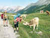 Reboot happiness! Take your family on a hike trip to Austria's Karwendel Mountains