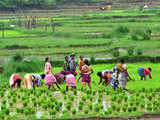 30 per cent of funds in agriculture schemes being earmarked for women: Government