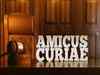 Amicus Curiae: Impact of insolvency and bankruptcy code
