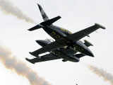 Breitling Jet Teams L-39 Albatros