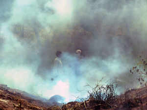 crop residue burning rep picture In House