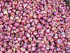 Onion exports decline 14% in April-June